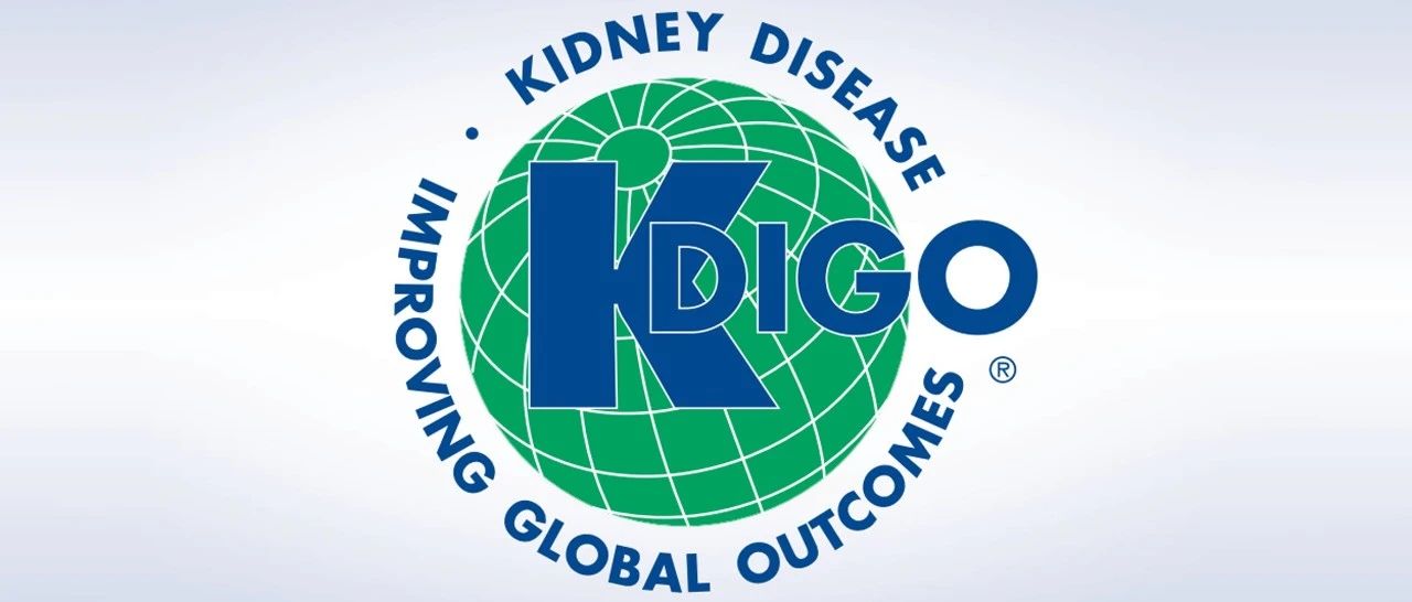 重磅！KDIGO 2024版CKD评估和管理指南发布——CKD并发症管理及用药准则篇（未完待续）