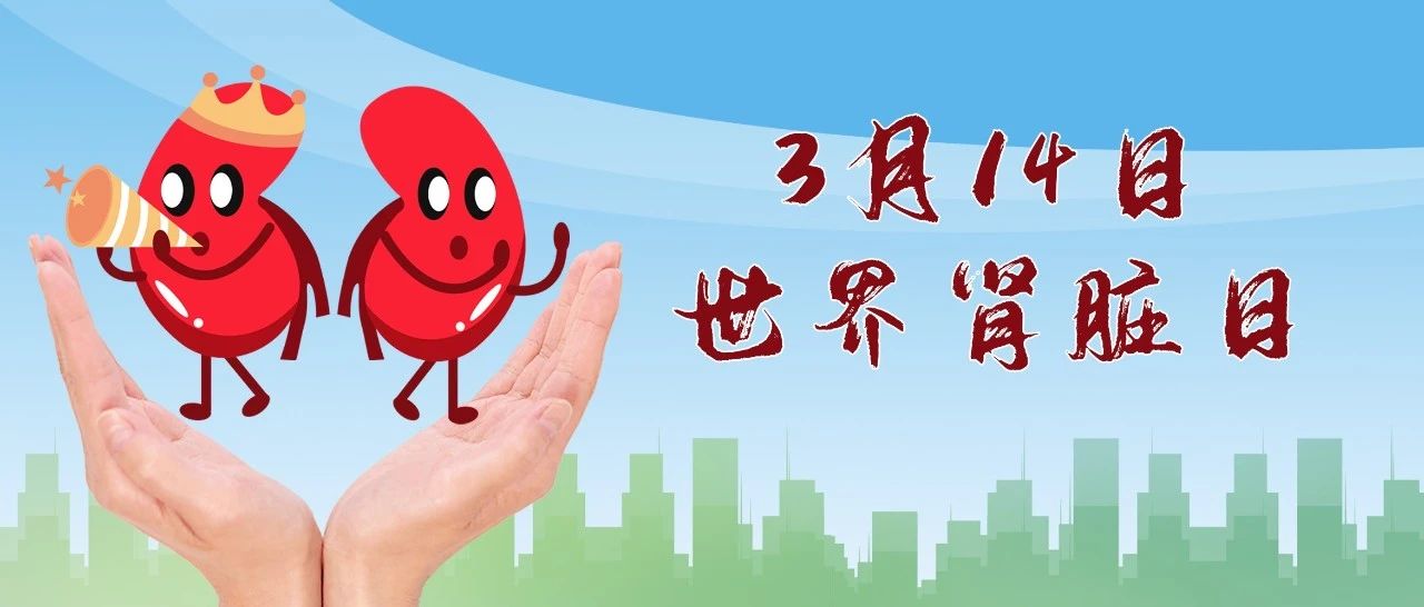 3月14日世界肾脏日 | 布地奈德肠溶胶囊点亮IgA肾病患者远航的灯塔，为促进全球肾脏健康添砖加瓦！