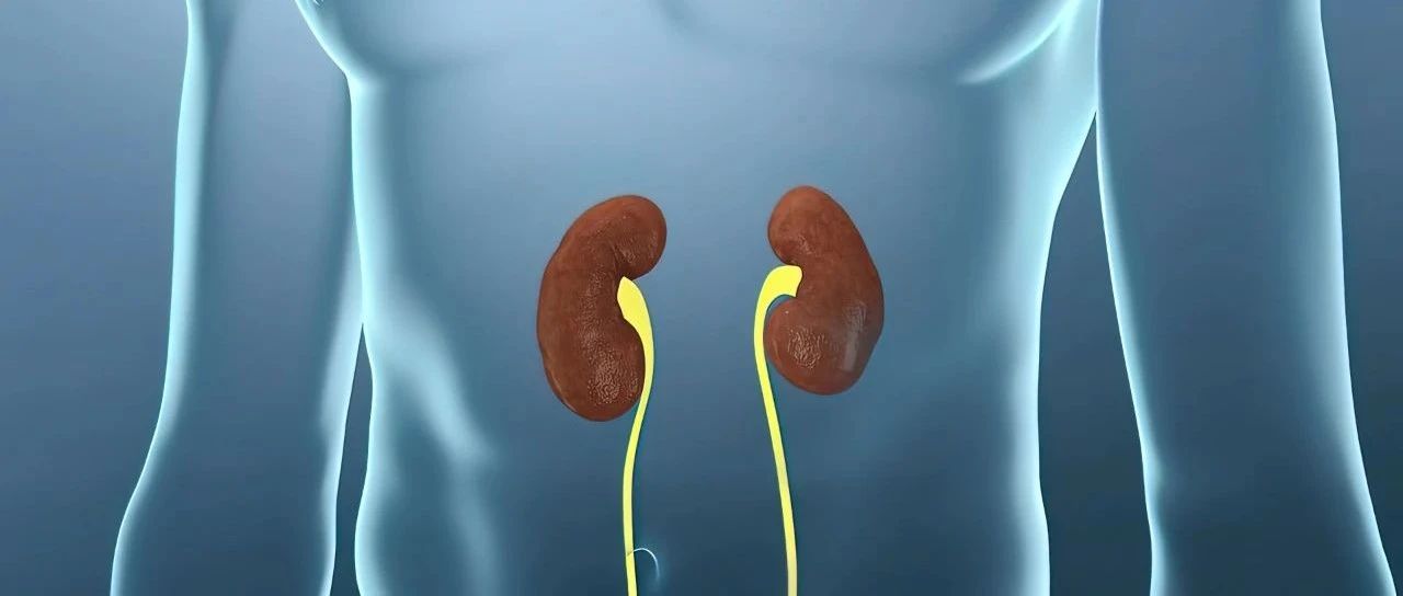关注肾脏的“隐形杀手”！ 三分钟快速掌握丙型肝炎相关性肾炎的诊治