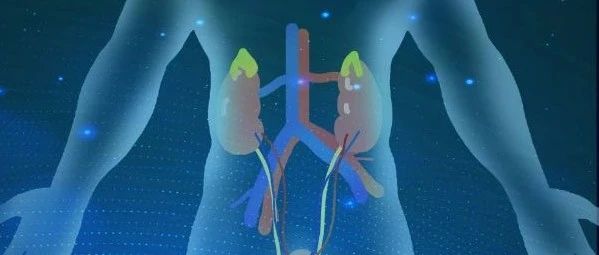 这种罕见病若诊疗不及时，极易发生肾功能急剧下降，甚至肾衰竭死亡！