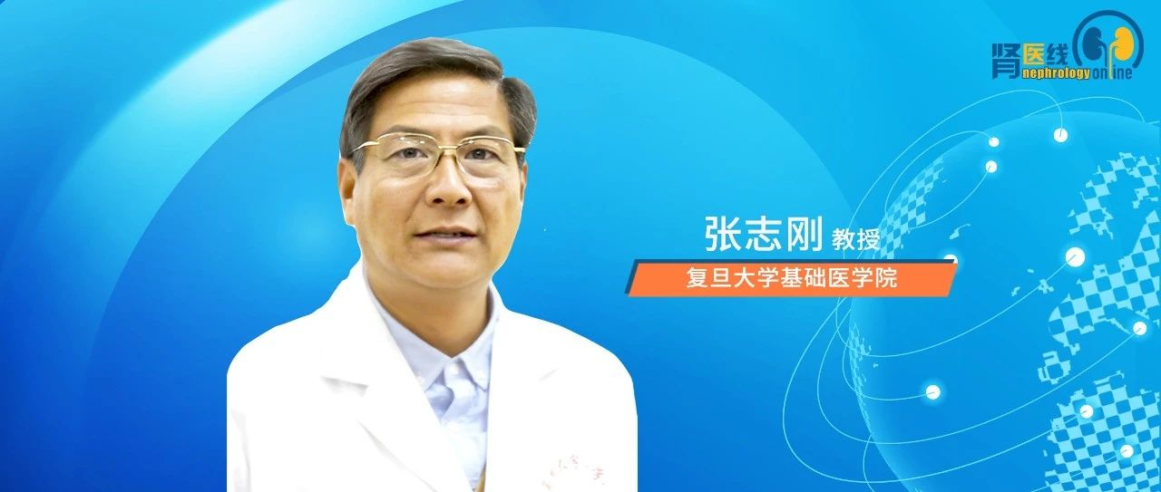 张志刚教授：ANCA相关血管炎的肾病亚型病理特点