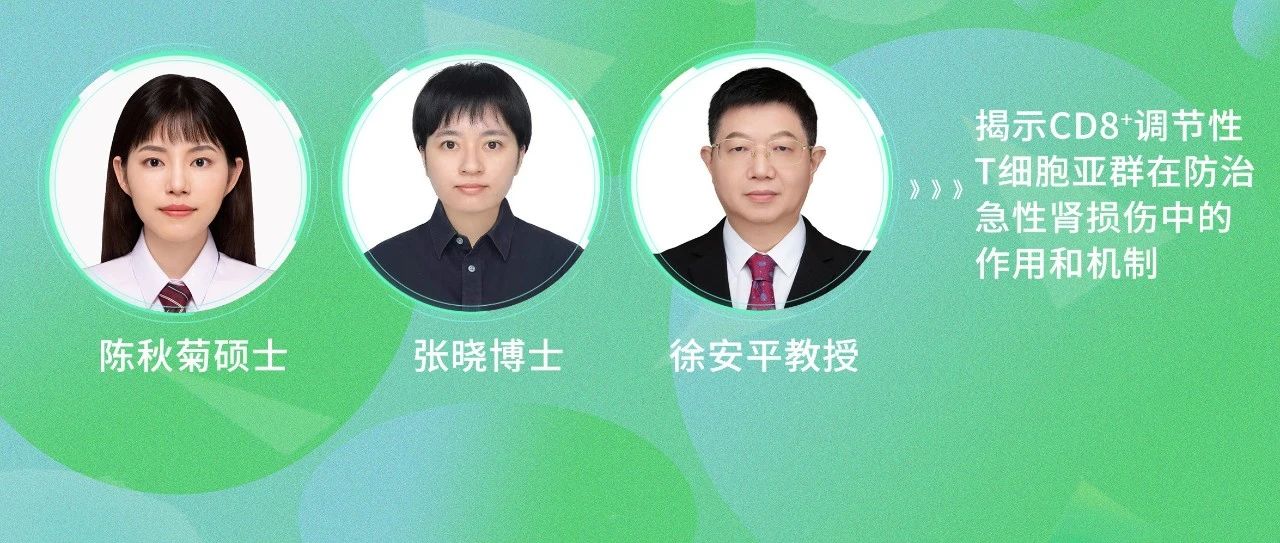 Apotosis︱徐安平教授团队揭示CD8+调节性T细胞亚群在防治急性肾损伤中的作用和机制