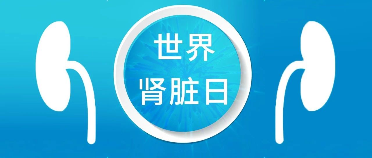 2025年世界肾脏日：您的肾脏还好吗？早检查=保健康