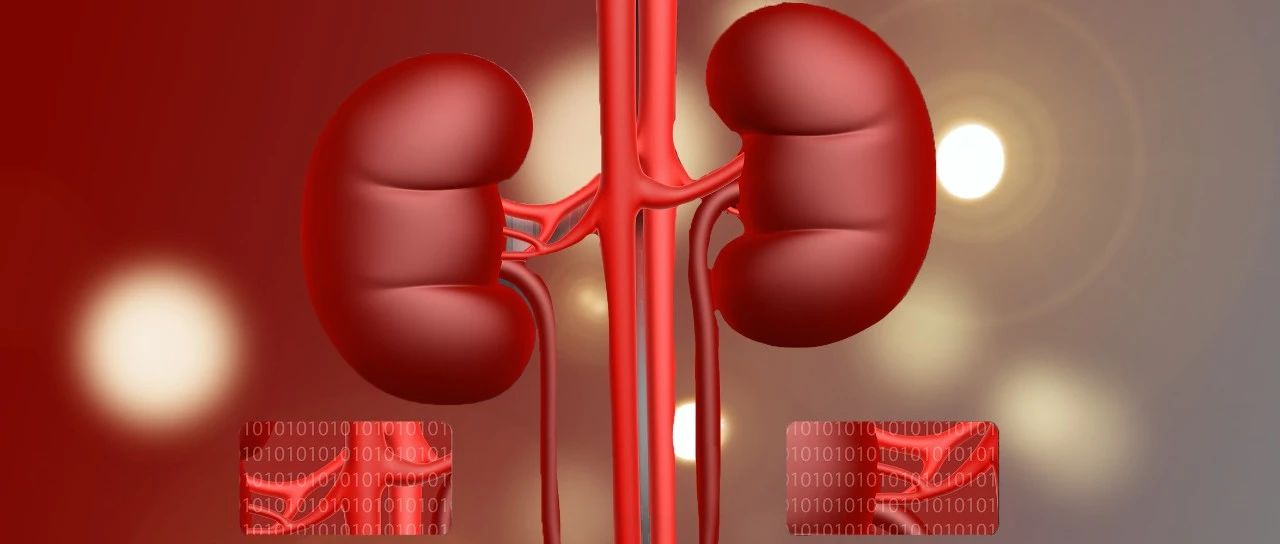 NEJM前沿速递｜阿曲生坦治疗IgA肾病Ⅲ期ALIGN试验的中期分析结果正式见刊