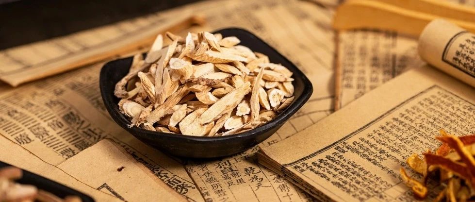 中国国医节 | 传承与创新：中西合璧挑战狼疮肾炎——黄芪的作用