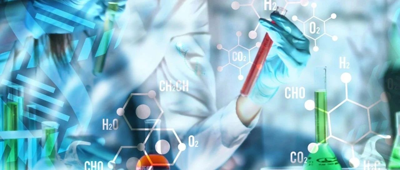 同济医院肾内科研究：解锁IgA肾病的炎症密码——三种细胞因子增加该病风险，CCL19是关键