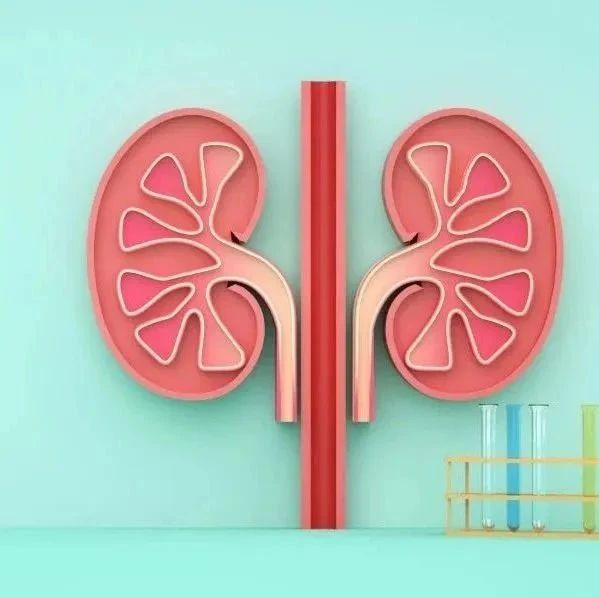 惊！糖尿病还能引起膜性肾病：一项孟德尔随机化研究揭示其因果关系
