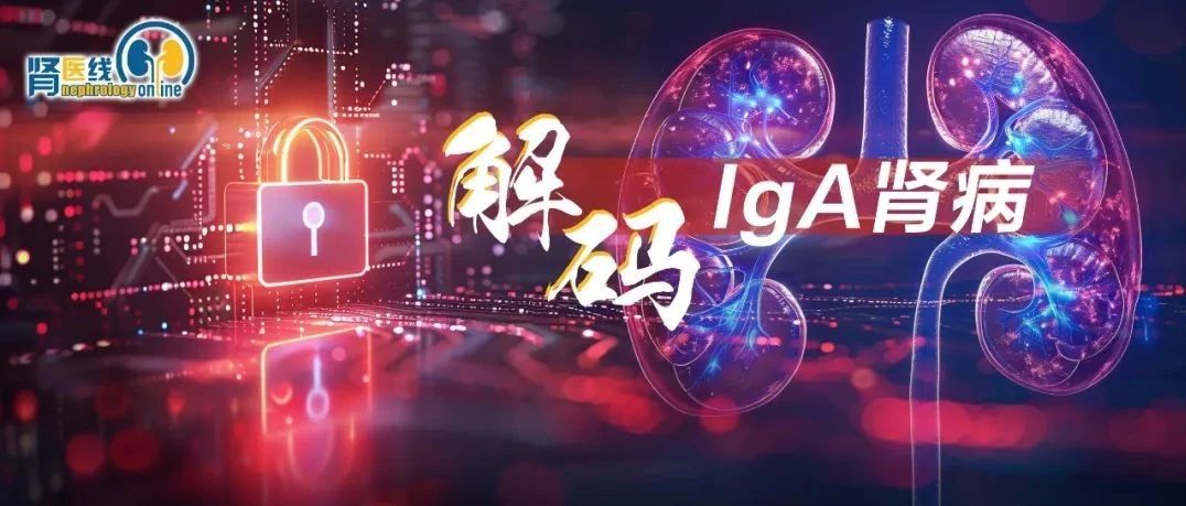 北大医院团队研究证实：早期激素治疗可显著延缓IgA肾病患者肾功能衰退