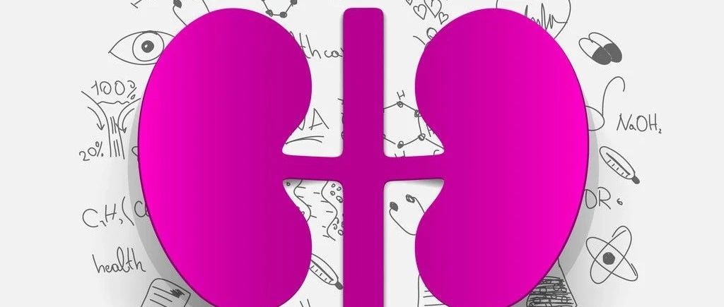 Renal Failure丨PLA2R相关特发性膜性肾病的潜在诊断生物标志物初步揭晓