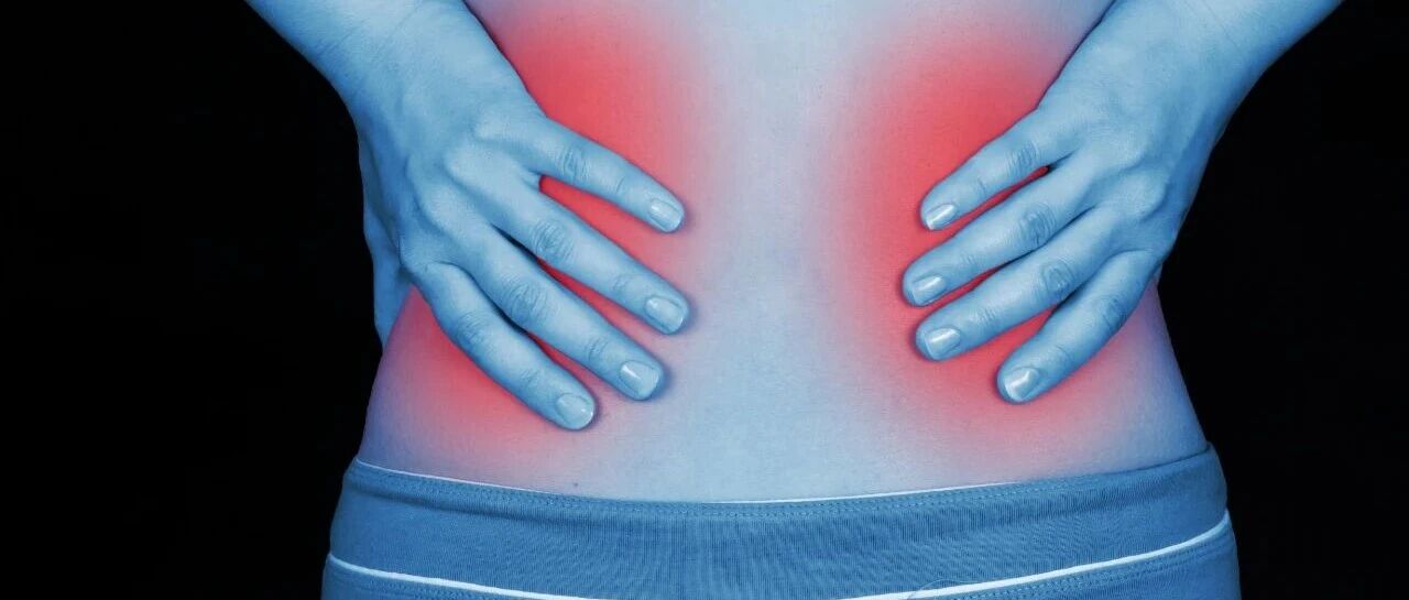 JASN：Farabursen通过抑制miR-17恢复多囊蛋白表达，显著延缓ADPKD患者肾脏体积增长