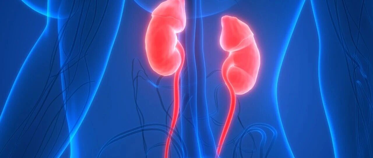 《柳叶刀》公布GDB 2023数据：中国CKD患者达1.52亿，居全球榜首