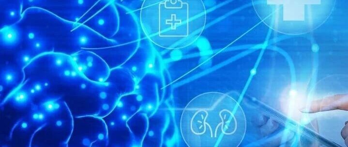 蓝莓、樱桃、葡萄：这些食物可能比你想象得更“补脑”