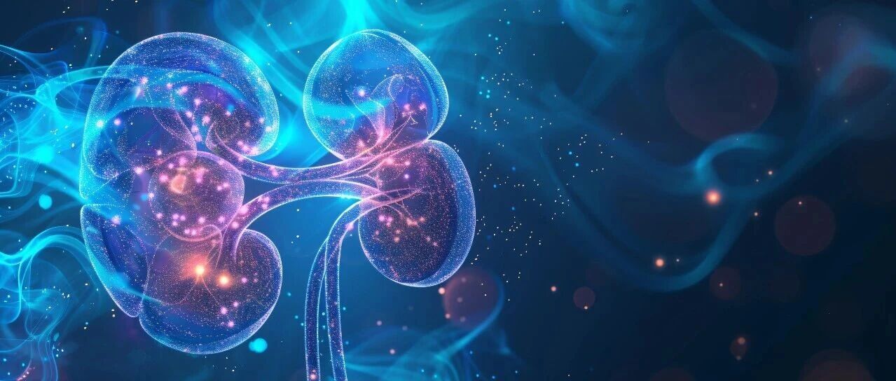 病例分享丨充血性肾病：心力衰竭中被忽视的病症