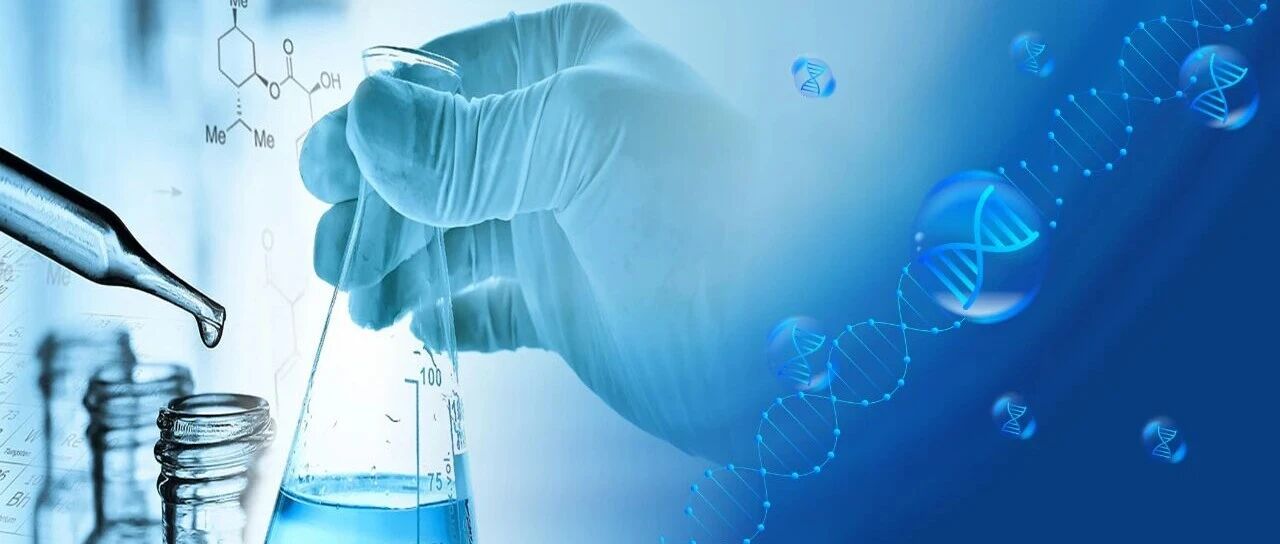 指南领航，精准施治：国际标准与本土实践融合，开启精准诊疗新征程（锁定指南巡讲第2站直播会议，精彩等您来）