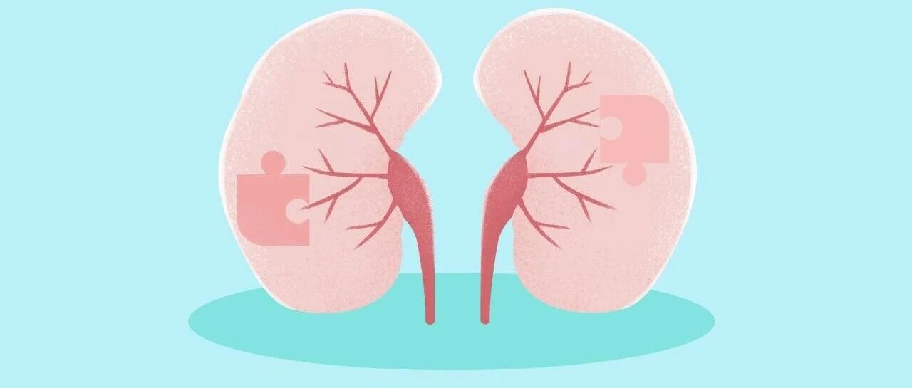肾脏、眼睛一起出问题，警惕罕见的临床综合征——特发性肾小管-间质性肾炎