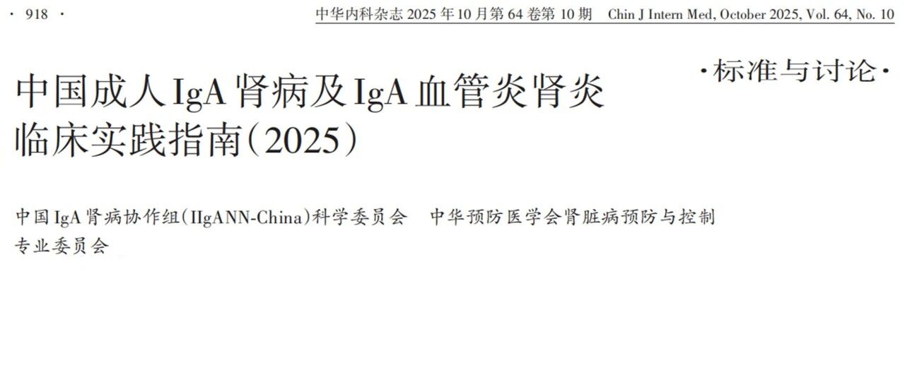 2025版中国成人IgA肾病指南重磅发布：三大突破点亮诊疗新方向，布地奈德肠溶胶囊成首选对因药物