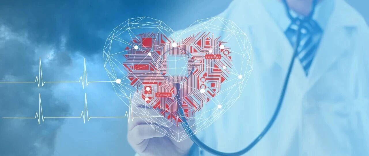 CKM综合征新解：血尿酸是心血管疾病的“直接杀手”，而非“肾病帮凶”