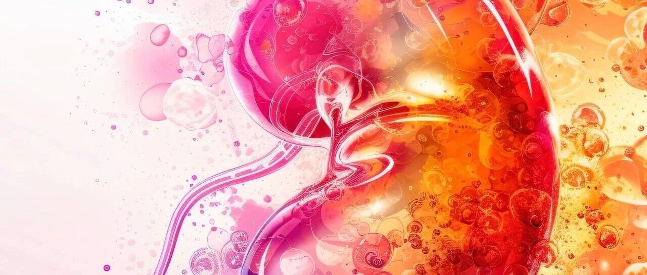 饮食模式与肾脏健康：哪些膳食指数最有“护肾力”？