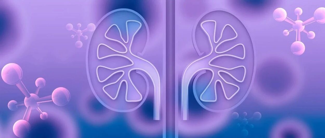 如何对肥胖合并CKD患者进行个体化肾脏保护治疗？来自ERA Diabesity工作组的述评