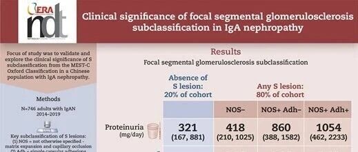 江苏省人民医院肾内科袁杨刚教授团队在NDT杂志发表IgA肾病患者S病理亚分型研究成果