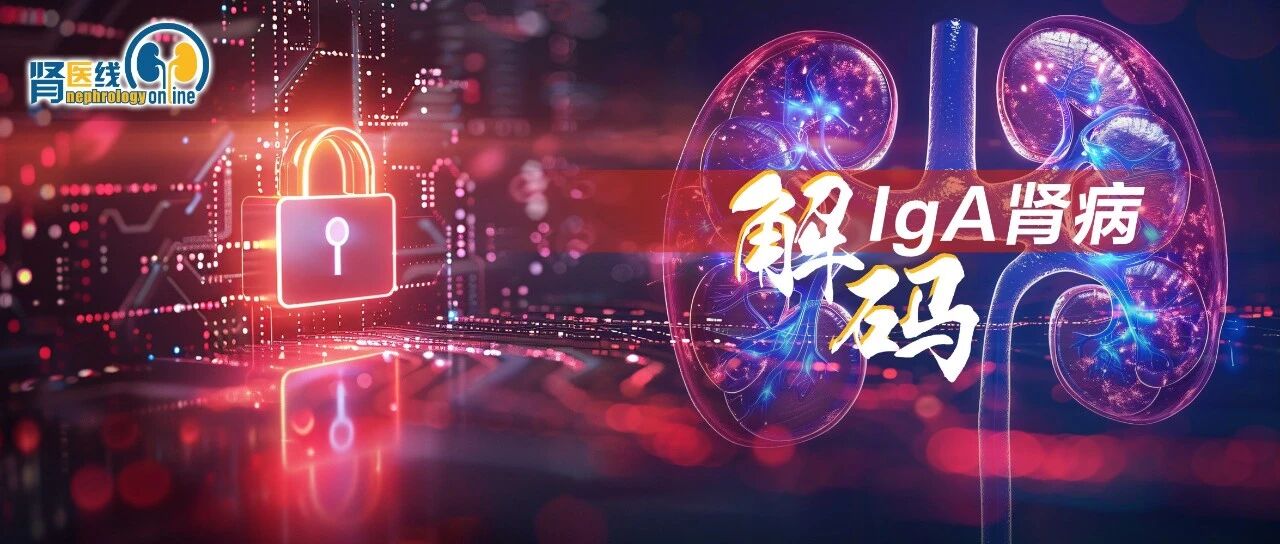 CKJ重磅公布：内皮素受体拮抗剂首个荟萃分析证实其显著降低IgA肾病患者蛋白尿、血压