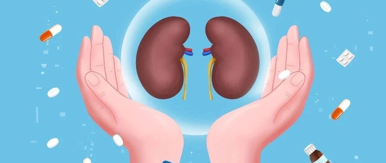 Zigakibart在IgA肾病治疗中的临床价值：基于Ⅰ/Ⅱ期研究的多维度分析