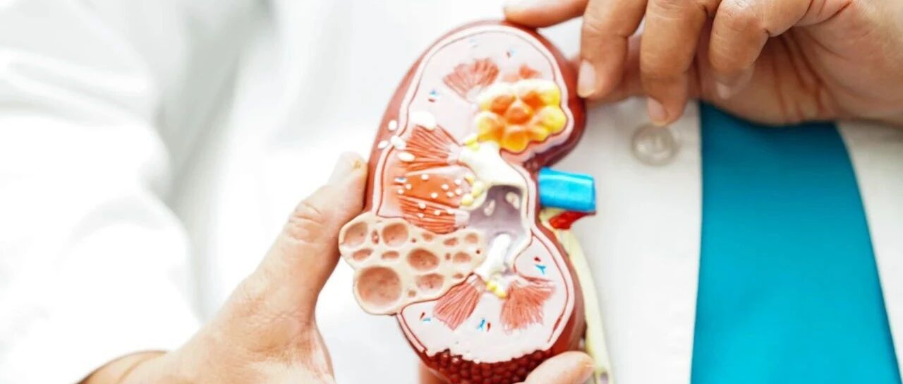 靶向炎症和纤维化：T2DM相关CKD患者早期优化治疗策略