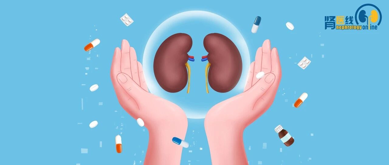 非奈利酮用于CKD合并T2DM治疗的作用机制和循证回顾