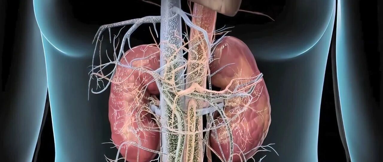FDA延长Sparsentan治疗局灶节段性肾小球硬化症的补充新药申请审评时间
