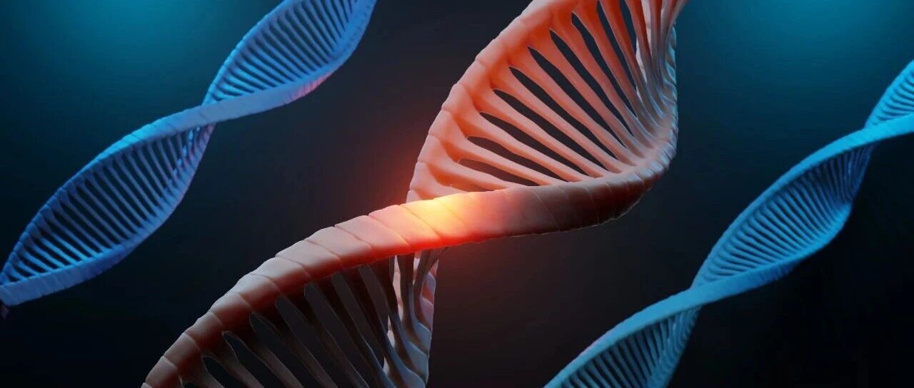 腹膜透析与营养管理：技术进步与临床挑战