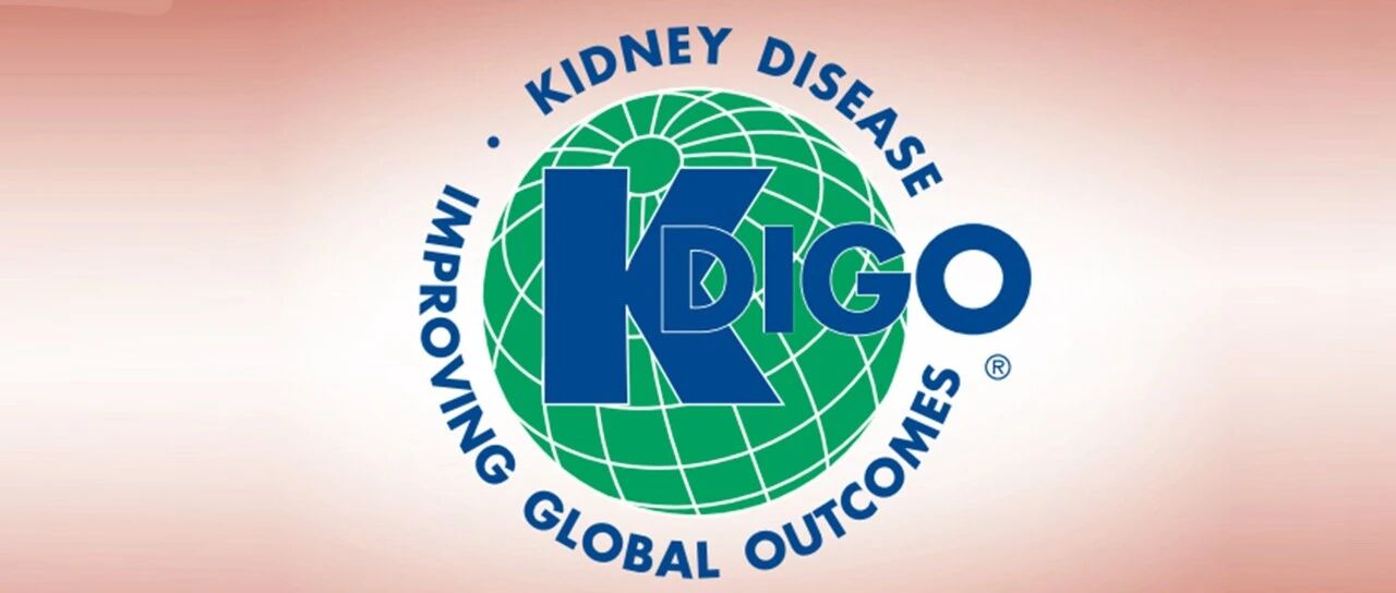 全网首发！2026版KDIGO CKD贫血管理指南重磅发布，推荐意见+实践要点全览