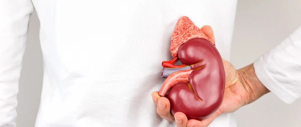 从延缓进展到实现缓解：慢性肾脏病治疗新范式