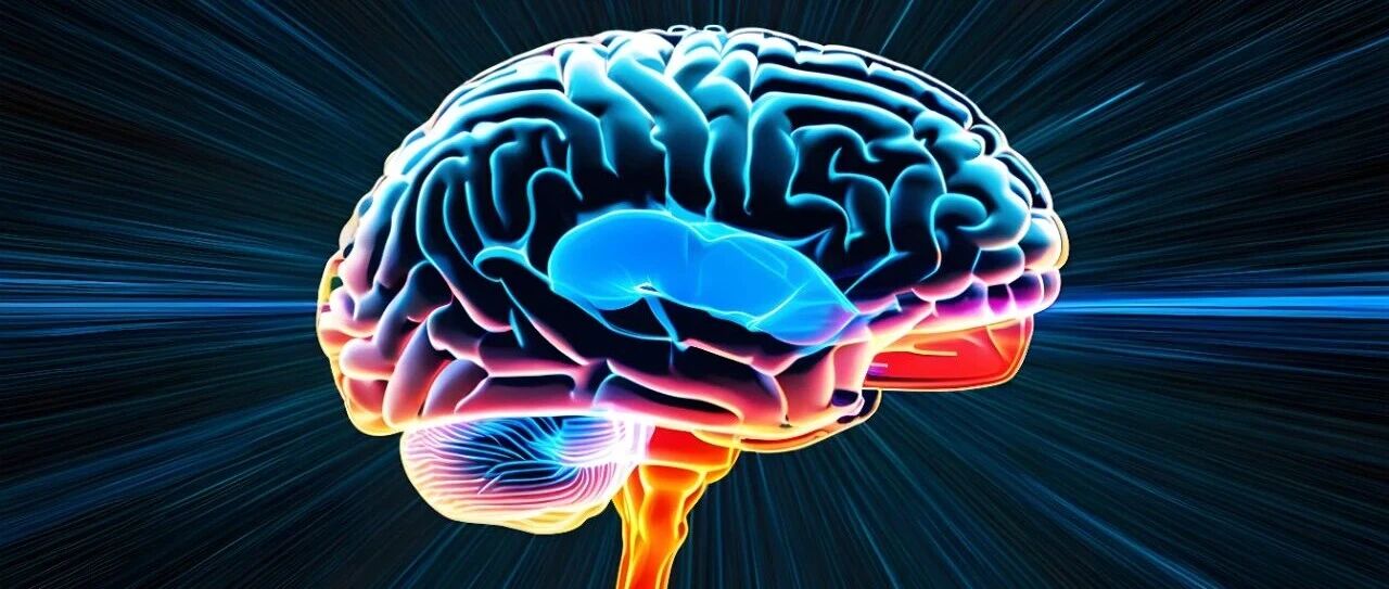 认知障碍不仅提示脑损伤，还显著增加中年人群肾功能快速下降与新发CKD风险达61%、73%