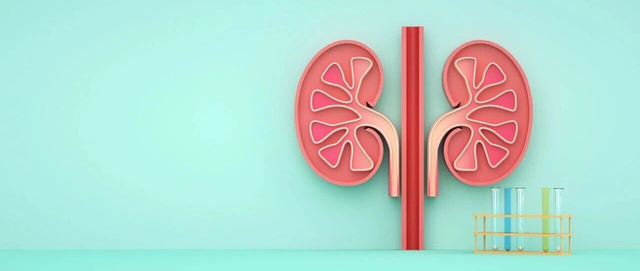 泰它西普治疗IgA肾病的临床探索：疗效、个体化应用与联合策略新证据