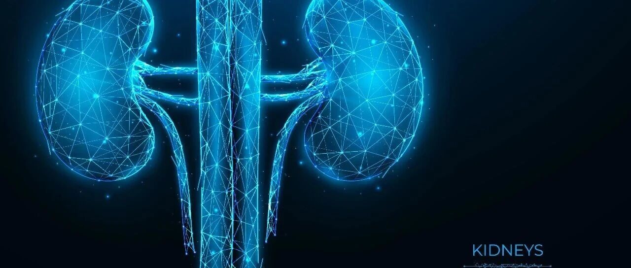 全球仅报道100余例，“小群体”的隐忧人生——胶原Ⅲ肾病，一种全球罕见的肾病