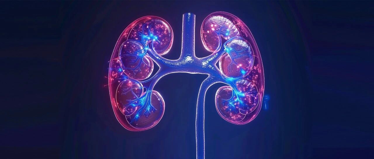 家庭血压监测不容忽视，研究提示夜间高血压加速慢性肾病进展