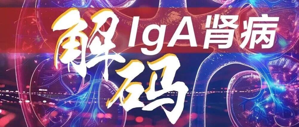 补体靶向时代：IgA肾病新疗法的疗效排名与精准化探索