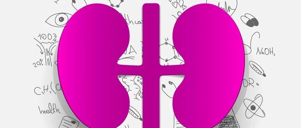 沉默的神偷！无声无息偷走小孩子肾脏功能的遗传性肾病——Dent病