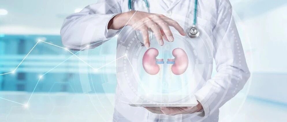 春节期间重磅新闻速递：膜性肾病、IgA肾病、卵巢功能早衰领域迎来治疗新进展