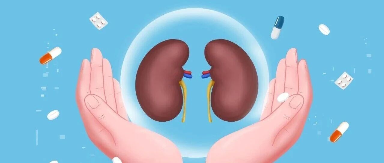 eGFR百分位数：CKD早期识别的个性化新工具