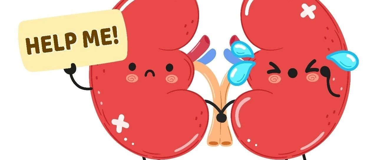 司美格鲁肽获批治疗2型糖尿病合并慢性肾脏病1周年：糖尿病、肾脏与心脏疾病领域的变革