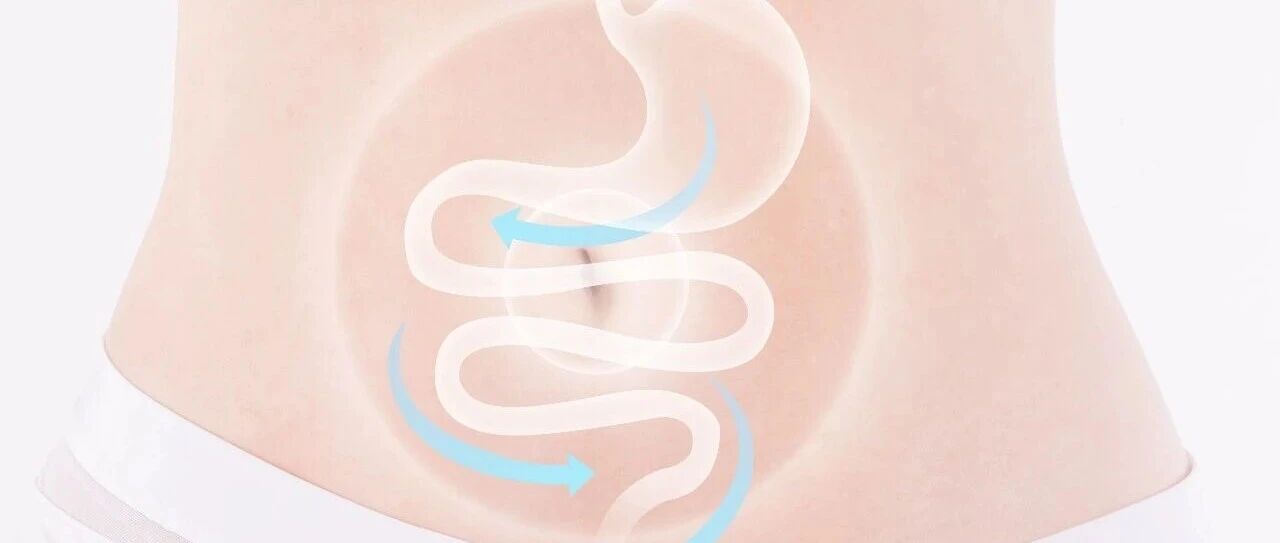 护肾先护肠？1.2万人的迄今最大研究发现：肠道菌群及其代谢产物参与肾功能早期变化