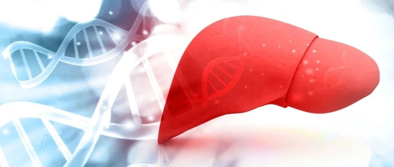 尿酸与非酒精性脂肪肝的“隐秘关联”：高血压人群需警惕的代谢信号