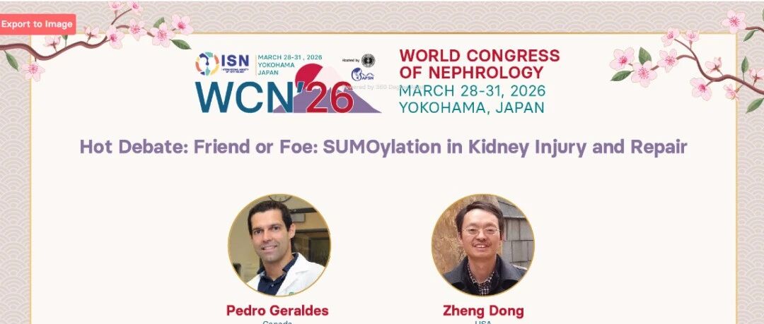 WCN 2026热点争鸣丨朋友还是敌人：SUMO化修饰在肾脏损伤与修复中的双向调控机制