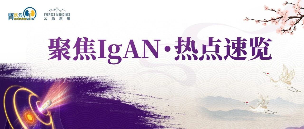 WCN 2026前瞻｜巅峰聚焦IgA肾病从“尽早干预”到“源头阻断”，中国证据再添力证