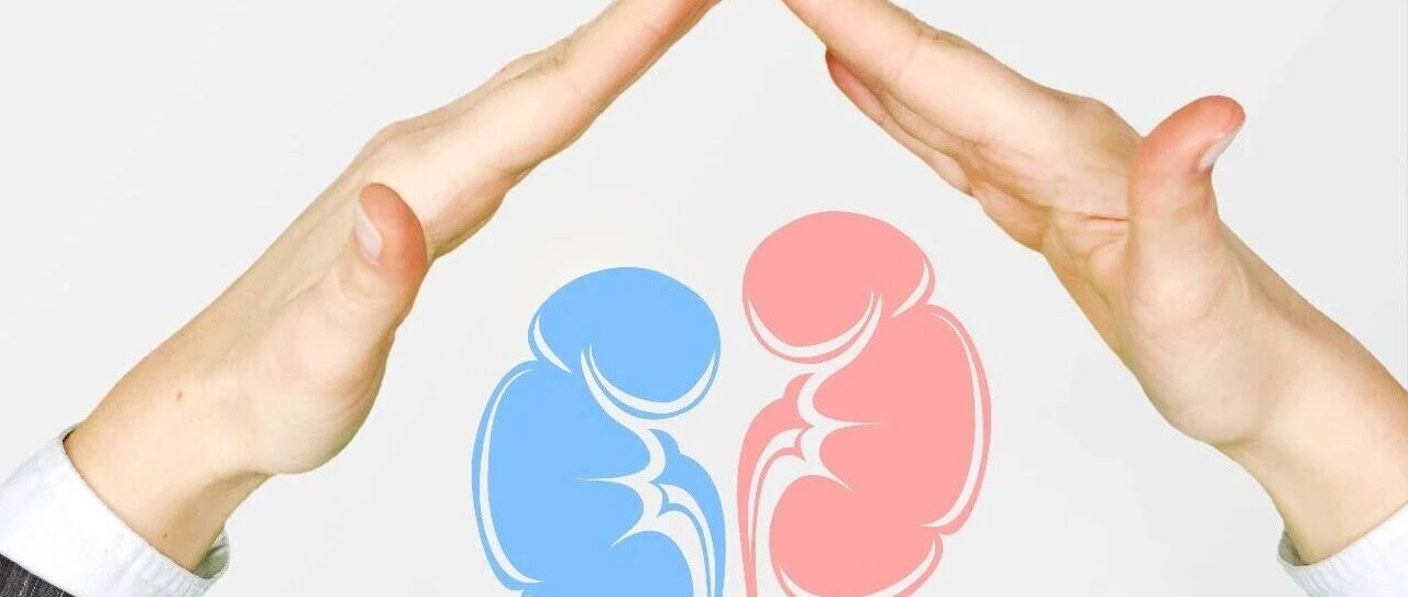 ASN发布《肾衰竭患者保守治疗肾脏健康指南》及《执行摘要》