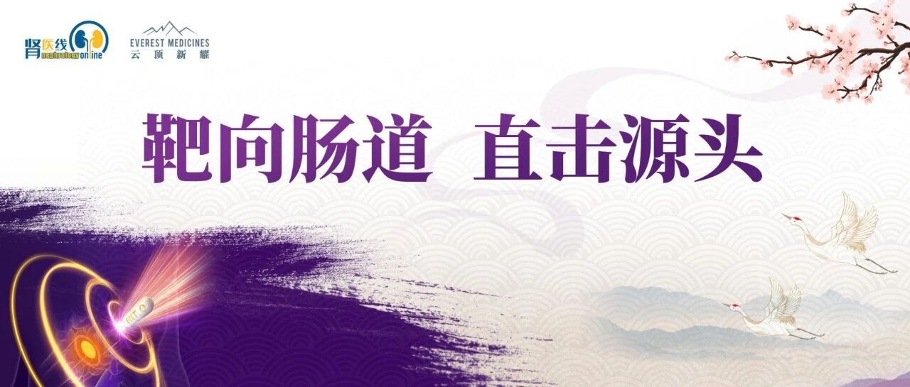 WCN 2026｜靶向肠道，直击源头——多项研究筑牢布地奈德肠溶胶囊对因治疗IgA肾病的基石地位