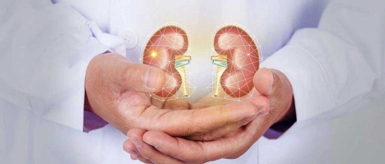 外周血与肾间质T细胞谱：狼疮肾炎治疗反应的关键预测指标