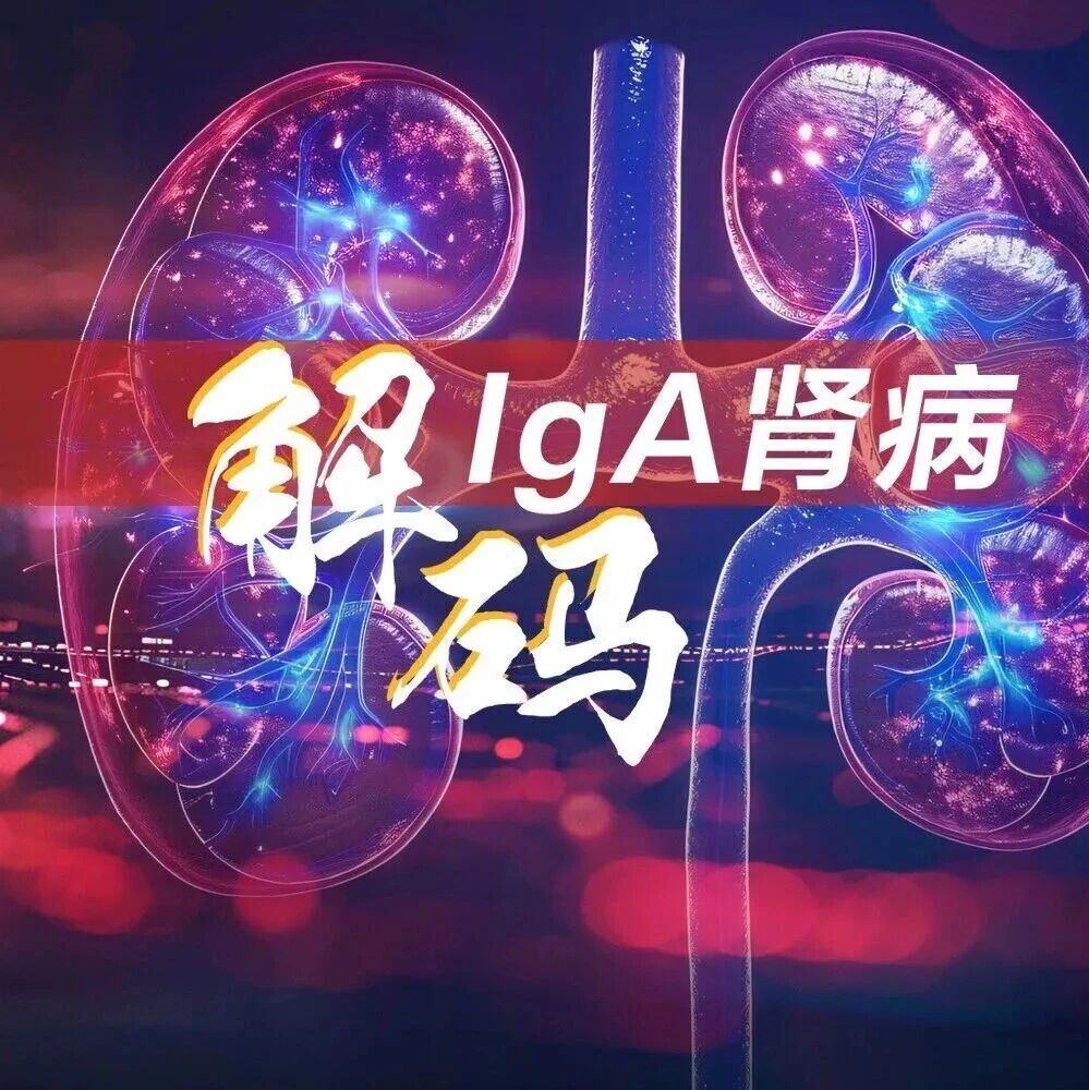 飞赫达®获FDA完全批准，成为全球首款可显著延缓IgA肾病肾功能衰退的补体抑制剂