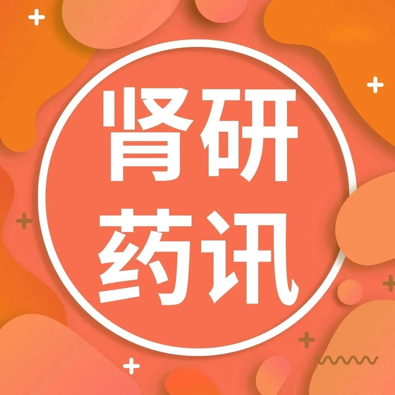 肾研药讯 | 2026年第三季度国际肾脏病领域十大进展